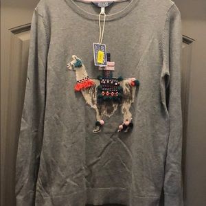 Sweater Long Sleeves with Lama on it - NWT Sz 8